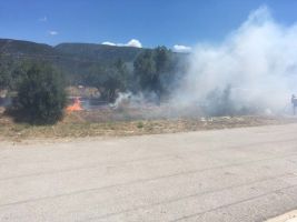 βιοπα αμφισσας