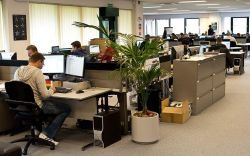 εργαζόμενοι